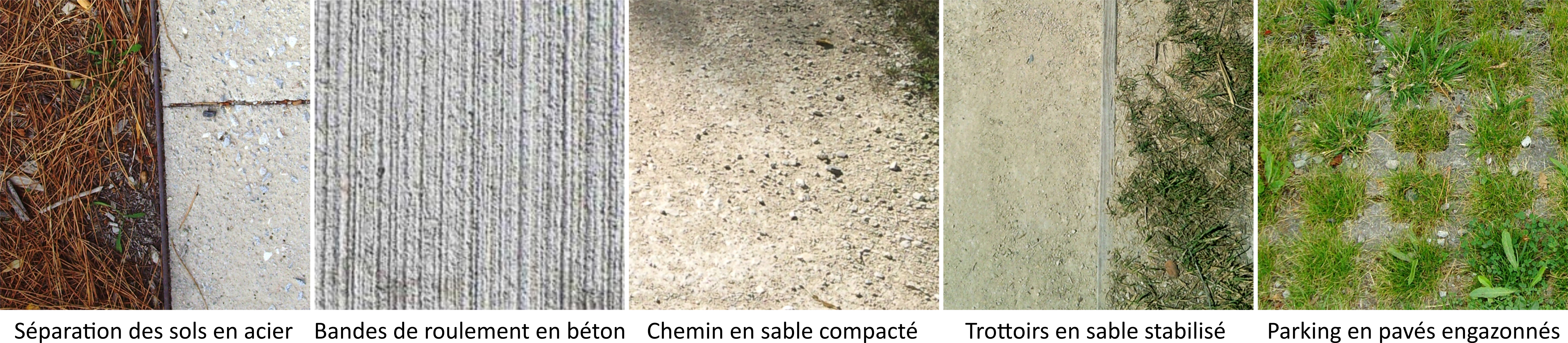 LOTISSEMENT TERREVIE
ECHOAMO_Fillols/photos/04.png